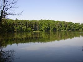 Botič 2-ú.n.Hostivař - pohled od Petrovic 4.jpg
